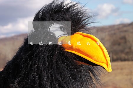 刑法理论通说认为 刑法理论通说认为