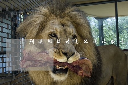 刑法用日语怎么说及发音
