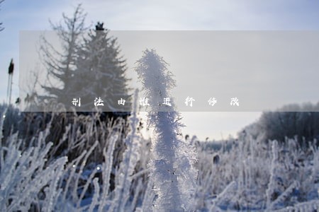刑法由谁进行修改