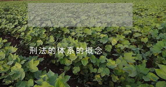 刑法的体系的概念 刑法的体系的概念
