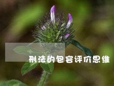 刑法的包容评价思维