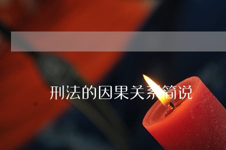 刑法的因果关系简说 刑法的因果关系简说