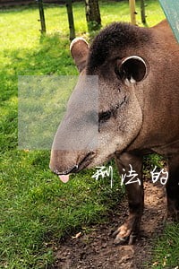 刑法的图案