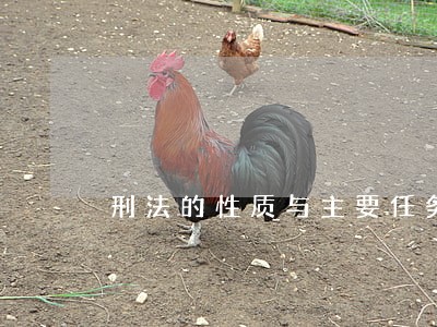 刑法的性质与主要任务有什么 刑法的性质与主要任务有什么