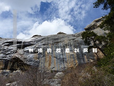 刑法的故意刘凤科
