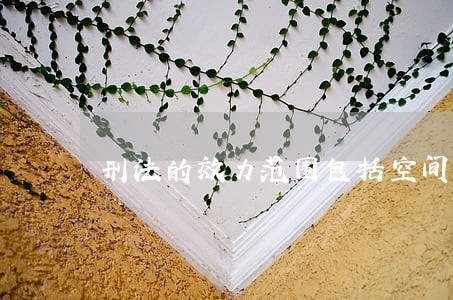 刑法的效力范围包括空间效力范围和
