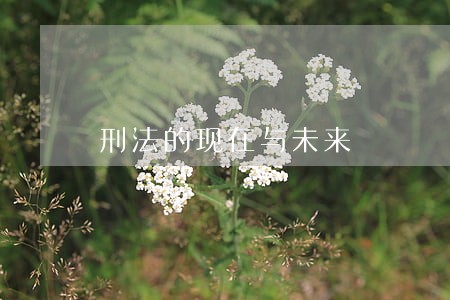 刑法的现在与未来 刑法的现在与未来