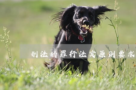 刑法的罪行法定原则要求法律明文