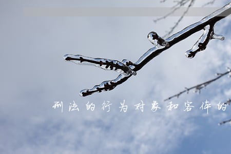 刑法的行为对象和客体的区别 刑法的行为对象和客体的区别