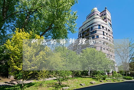 刑法的解释理由 刑法的解释理由
