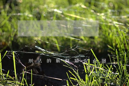 刑法的解释知识点图 刑法的解释知识点图