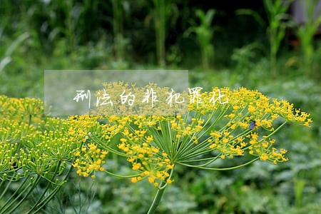 刑法的非犯罪化 刑法的非犯罪化