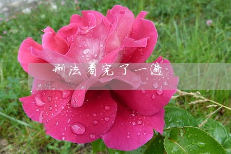 刑法看完了一遍 刑法看完了一遍