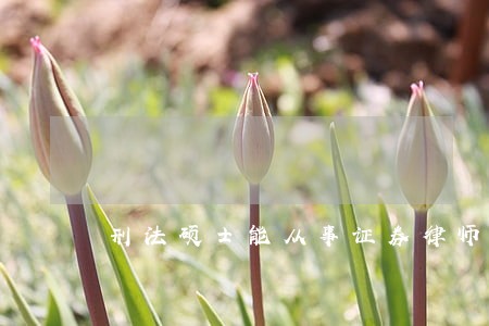 刑法硕士能从事证券律师吗