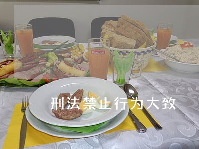 刑法禁止行为大致 刑法禁止行为大致