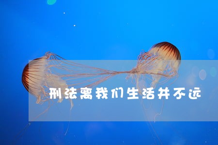 刑法离我们生活并不远 刑法离我们生活并不远