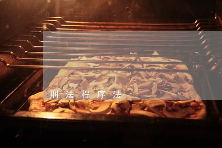 刑法程序法 刑法程序法