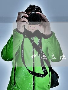 刑法立法的类型化表述及其提倡 刑法立法的类型化表述及其提倡