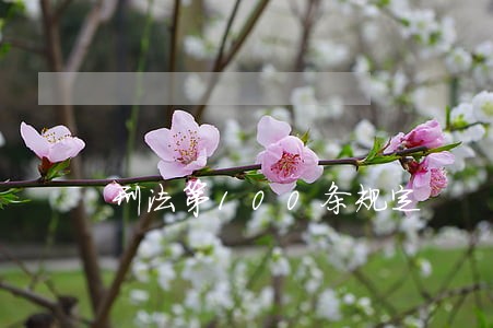 刑法第100条规定 刑法第100条规定
