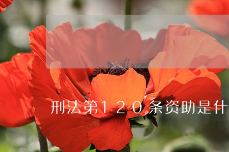 刑法第120条资助是什么 刑法第120条资助是什么
