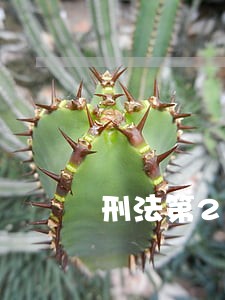 刑法第211条规定 刑法第211条规定