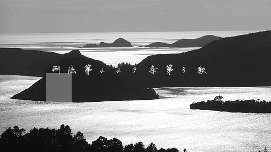 刑法第229条第3款 刑法第229条第3款