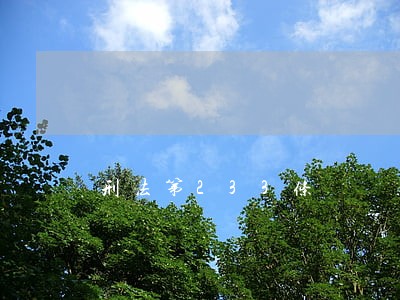 刑法第233条