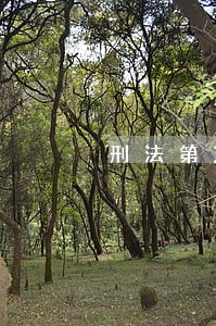 刑法第260条之一的规定