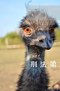 刑法第263条解释 刑法第263条解释