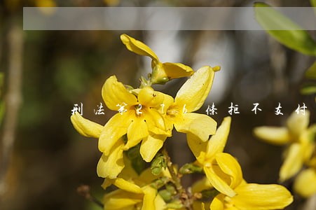 刑法第276条拒不支付劳动报酬罪 刑法第276条拒不支付劳动报酬罪