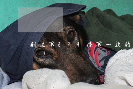 刑法第294条第一款的解释 刑法第294条第一款的解释