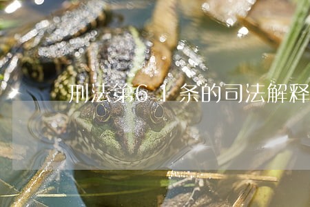 刑法第61条的司法解释