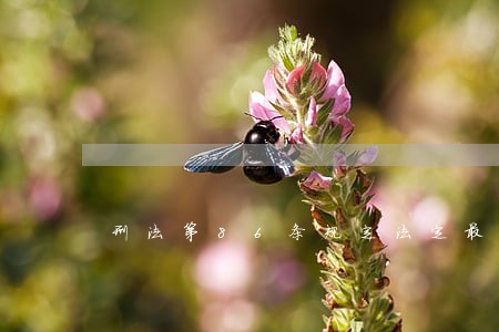 刑法第86条规定法定最高刑 刑法第86条规定法定最高刑