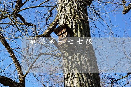 刑法第一七七条 刑法第一七七条