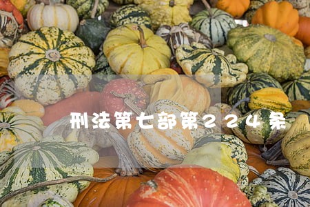 刑法第七部第224条 刑法第七部第224条
