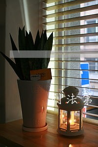 刑法第三百七十七条的解释什么