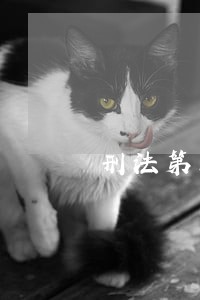 刑法第三百二十一条规定 刑法第三百二十一条规定