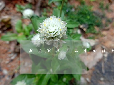 刑法第三百二十五条是什么内容 刑法第三百二十五条是什么内容