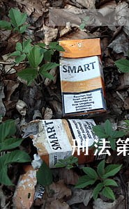 刑法第三百四十四条是那些解释