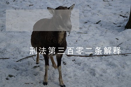 刑法第三百零二条解释 刑法第三百零二条解释