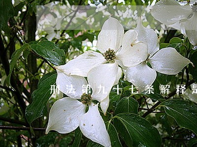 刑法第九十七条解释是什么 刑法第九十七条解释是什么
