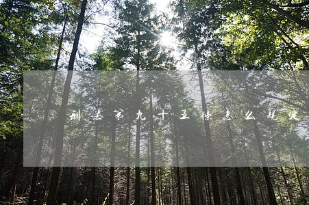 刑法第九十五条怎么规定 刑法第九十五条怎么规定