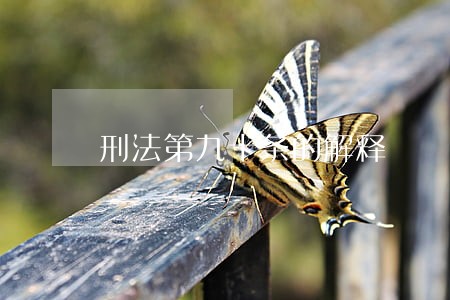 刑法第九十条的解释 刑法第九十条的解释