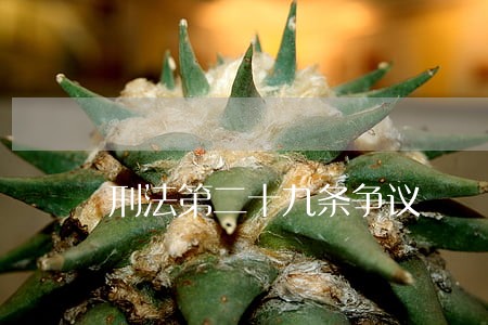 刑法第二十九条争议 刑法第二十九条争议
