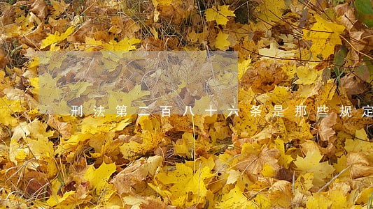 刑法第二百八十六条是那些规定 刑法第二百八十六条是那些规定