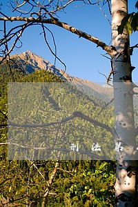 刑法第八十三条相关规定 刑法第八十三条相关规定