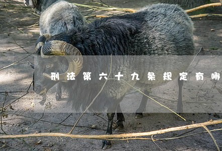 刑法第六十九条规定有哪些 刑法第六十九条规定有哪些