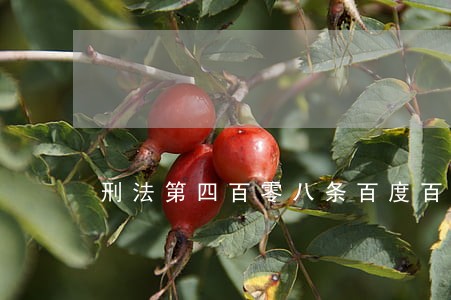 刑法第四百零八条百度百科