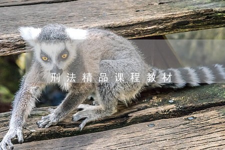 刑法精品课程教材 刑法精品课程教材
