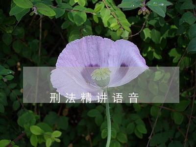 刑法精讲语音 刑法精讲语音